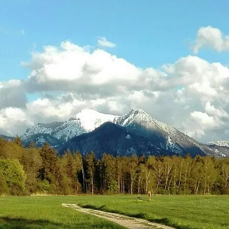 Bauernhof Stöcklhof